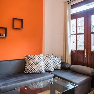 https://apt-orange-geranium.hotelschalkidiki.net